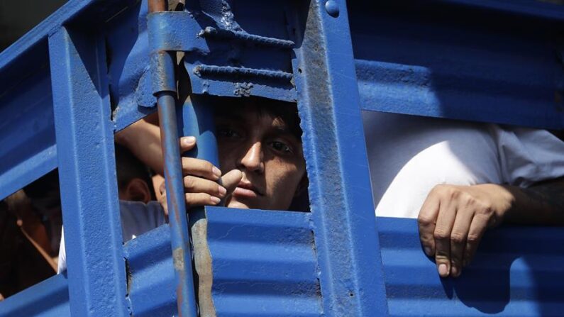 Fotografía de archivo de supuestos pandilleros detenidos durante el Estado de Excepción son trasladados a una cárcel en San Salvador (El Salvador). EFE/ Rodrigo Sura