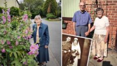 Abuelito de 91 años llena su Instagram con adorables fotos de su esposa, ¡y se vuelve viral!