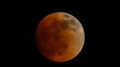 Espectaculares imágenes del eclipse lunar total y la «Luna de sangre»