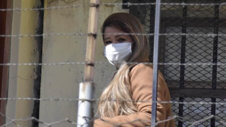 Áñez pide a la OEA la atención a su caso y los de otros «presos políticos»