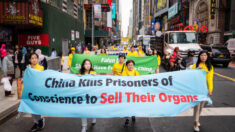 Régimen chino mató a practicante de Falun Gong por su hígado, dice expandillero japonés