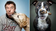 Divertidas fotos de perros atrapando golosinas voladoras: ¡Vea sus graciosas expresiones!