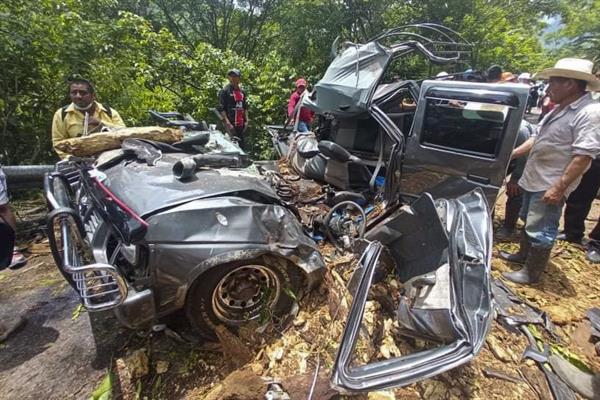 Tres personas murieron en el interior de un vehículo tras caerles encima un árbol de unos 25 metros, en un camino de la comunidad La Campaña, en el municipio de Solosuchiapa, en el estado mexicano de Chiapas, el 21 de junio de 2022. EFE/Mitzi Fuentes

