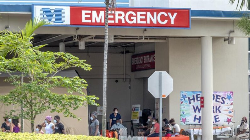 Un niño fue hospitalizado de urgencia después de ser "apuñalado" en el pecho por un bagre cuando nadaba en aguas de la costa oeste de Florida, informaron las autoridades locales. EFE/EPA/Cristobal Herrera-Ulashkevich
