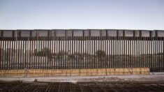 Muere migrante tras caer del muro entre México y EE.UU.