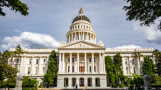 California aprueba enmienda para codificar el aborto dentro de la votación de noviembre