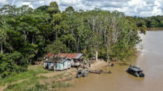 Los sospechosos presos confiesan asesinato de desaparecidos en la Amazonía