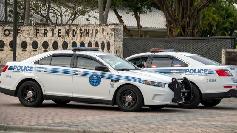 En una fotografía de archivo se ven dos autos de policía. EFE/EPA/Cristobal Herrera-Ulashkevich