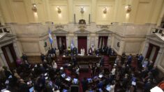 Argentina: Congreso oficialista rechaza interpelar a altos funcionarios sobre avión iraní-venezolano