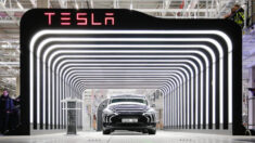 Plantas de Tesla en Austin y Berlín «pierden miles de millones» por problemas de cadena de suministro: Musk