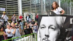 «Vamos a luchar hasta el final», dice la esposa de Julian Assange