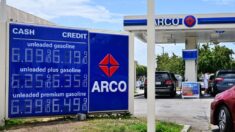 Precio de la gasolina alcanzará niveles “apocalípticos” si un huracán llega este verano, según analista