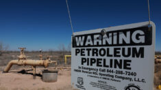 Reservas de petróleo de emergencia caen a 25 días de suministro mientras Biden libera más crudo