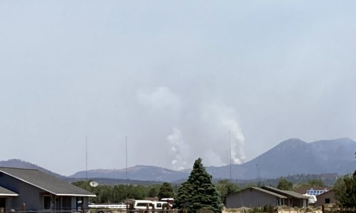 Columna de humo del incendio Pipeline en Flagstaff, Arizona, el 14 de junio. Las autoridades sospechan que un hombre que quemaba papel higiénico provocó las llamas que obligaron a miles de personas a evacuar sus hogares. (Allan Stein/The Epoch Times)