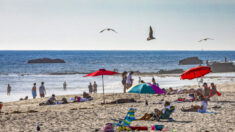 Playas del condado de Orange están entre las más limpias de California