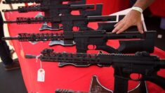 Condado de Carolina del Norte pondrá rifles AR-15 en todas las escuelas tras tiroteos masivos