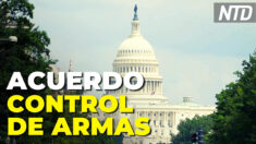 Senadores alcanzaron el domingo un acuerdo bipartidista sobre control de armas | NTD