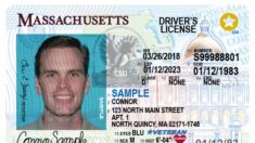 Massachusetts permite la entrega de licencias de conducir a inmigrantes ilegales
