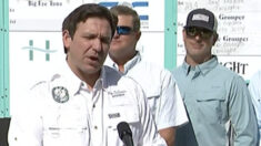 DeSantis veta proyecto de ley de los Everglades por preocupaciones sobre la destrucción de humedales