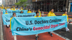 Experto: Lo siguiente es acabar la complicidad occidental en la sustracción forzada de órganos en China