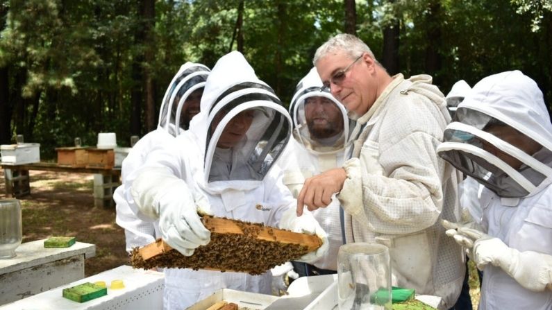 Hives for Heroes tiene como objetivo marcar la diferencia en la vida de los veteranos a través de la apicultura, el propósito y las conexiones sociales. (Cortesía de Hives for Heroes)