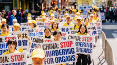 Expertos: Sustracción de órganos a practicantes de Falun Gong debe ser foco de diálogo de DDHH con China