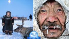 “Son los últimos”: Raras fotos de pastores de renos que viven en la gélida Siberia ártica