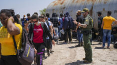 Administración Biden confirma plan para dar tarjetas de identificación a inmigrantes ilegales