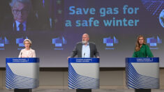 UE pide a los países que recorten un 15 % su consumo de gas hasta el próximo año