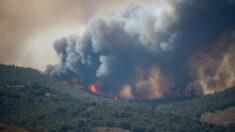 Los incendios forestales queman en España 100,000 hectáreas en dos semanas