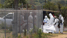 Exhuman cuatro cadáveres de fosas clandestinas en el oeste de México