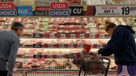 Ganaderos se oponen a la etiqueta de «carne» sintética, dicen que no es carne