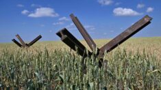 Precios del trigo se disparan tras ataque de misiles rusos a Odesa