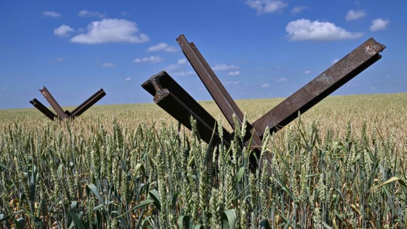 Una fotografía muestra obstáculos antitanques en un campo de trigo en una granja en el sur de la región ucraniana de Mykolaiv, el 11 de junio de 2022, en medio de la invasión rusa de Ucrania. (GENYA SAVILOV/AFP vía Getty Images)