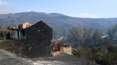 Casi 60,000 hectáreas arrasadas por los incendios forestales en España