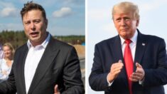 Elon Musk reacciona a críticas de Trump y opina sobre una candidatura de Trump y DeSantis en 2024