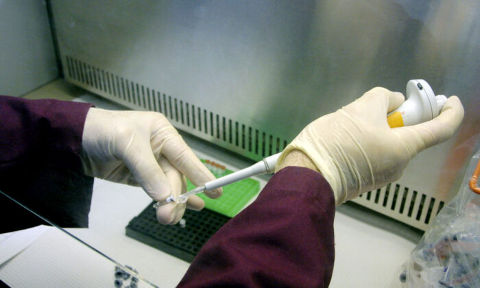 Un analista forense prepara muestras de ADN para colocarlas en un analizador genético en una foto de archivo. (Mario Villafuerte/Getty Images)