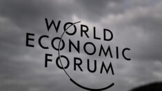 La ONU y el Foro Económico Mundial están detrás de la «guerra contra los agricultores»