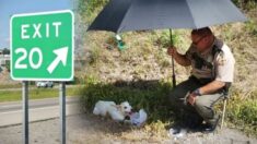 Policía y automovilista rescatan a perro con la pelvis rota en la carretera y le dan un nuevo hogar