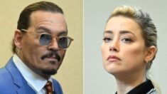 Amber Heard encontró cómo anular el juicio contra Johnny Depp