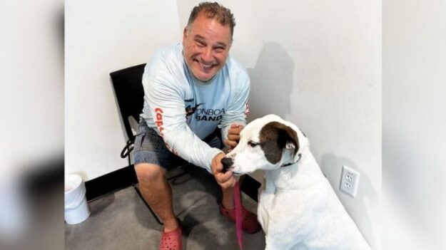 Perro abandonado por ser sordo es adoptado por hombre con discapacidad auditiva: «La pareja perfecta»