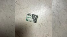 “Esto es muy peligroso”: Si ve dinero doblado en el suelo, no lo recoja: este es el motivo