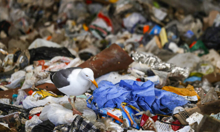 California promulga ley para reducir los plásticos de un solo uso
