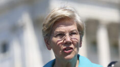 Warren insta a los demócratas a ser “agresivos” después de la victoria en el Senado