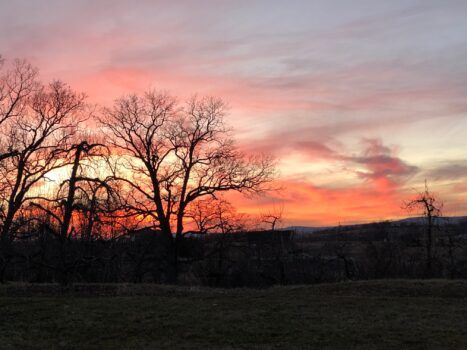 Yvonne Christ comparte una foto de la puesta de sol desde su casa. (Cortesía de Yvonne Christ)