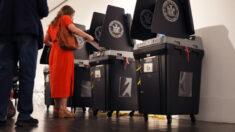 Funcionarios de NY no eliminaron a cientos de miles de presuntos votantes inelegibles, dice demanda