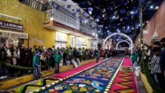 Conozca la alfombra más larga del mundo que rompió récord Guinness en México