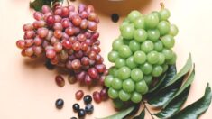 Compuesto vegetal natural presente en las uvas protege la salud del cerebro, según investigación