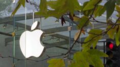 Apple alerta de fallos de seguridad en el software de iPhone, iPad y Mac