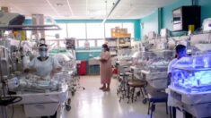 Hospitalizan a 23 bebés por parechovirus, dicen los CDC con una advertencia